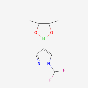 1-(difluoromethyl)-4-(4,4,5,5-tetramethyl-1,3,2-dioxaborolan-2-yl)pyrazole CAS 1206640-82-5