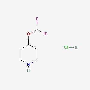 4-(difluoromethoxy)piperidine;hydrochloride CAS 1630907-16-2