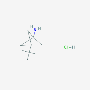 3-tert-butylbicyclo[1.1.1]pentan-1-amine;hydrochloride CAS 1886967-57-2