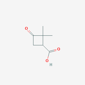2,2-dimethyl-3-oxocyclobutane-1-carboxylic acid CAS 3183-43-5