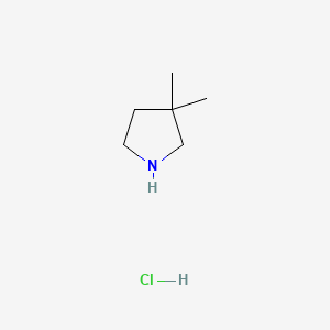 3,3-dimethylpyrrolidine;hydrochloride CAS 792915-20-9