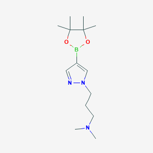 N,N-dimethyl-3-[4-(4,4,5,5-tetramethyl-1,3,2-dioxaborolan-2-yl)pyrazol-1-yl]propan-1-amine CAS 847818-72-8