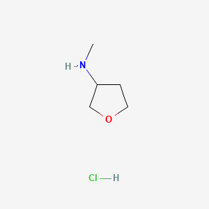N-methyloxolan-3-amine;hydrochloride CAS 917882-94-1