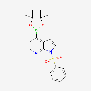 1-(benzenesulfonyl)-4-(4,4,5,5-tetramethyl-1,3,2-dioxaborolan-2-yl)pyrrolo[2,3-b]pyridine CAS 942919-24-6